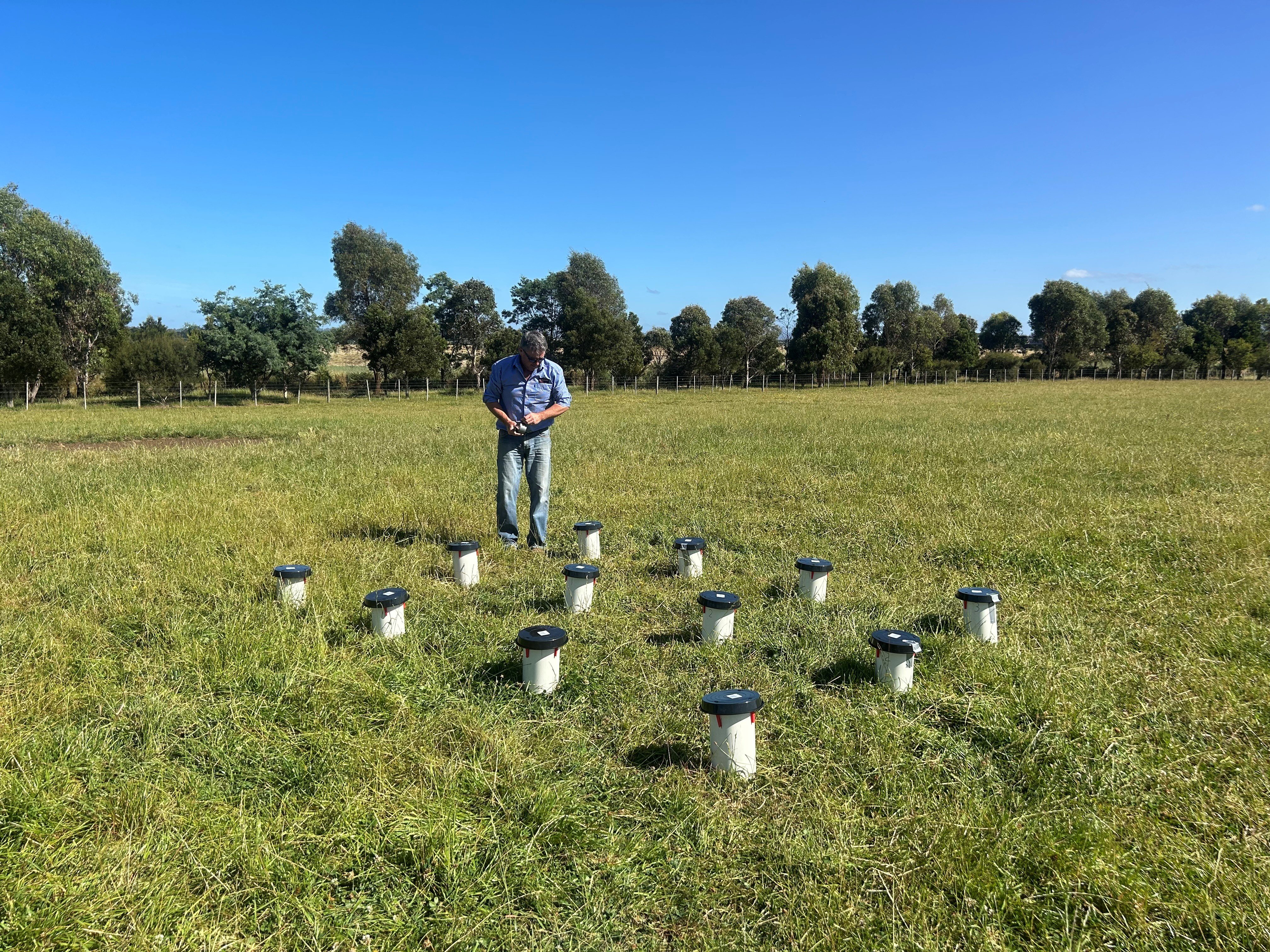 IPF Midland-Southern Tasmania Sales Manager, Mark Scott at the Tasmanian trial site