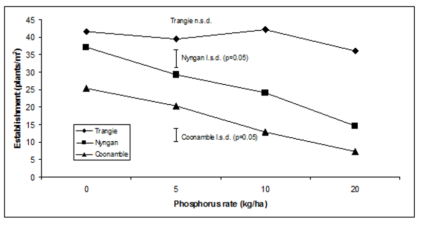 Figure 1: Effect of phosphorus rate on establishment in canola, Trangie, Nyngan and  Coonamble, 2015   Source: NSW DPI, 2015