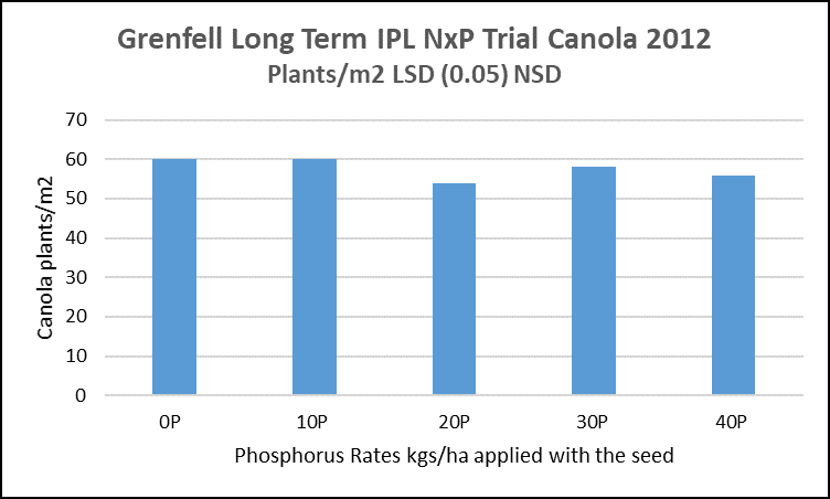 Figure 2: Effect of phosphorus rate on establishment in canola, Grenfell 2012 Source: Incitec Pivot Fertilisers