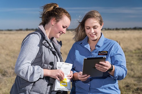 Agronomy cadet, Fiona McDonald, and Rebecca Hall, marketing manager – Nutrient Advantage, enter soil sample details into Nutrient Advantage Pro, the latest online system for accredited agronomists from Incitec Pivot Fertilisers.