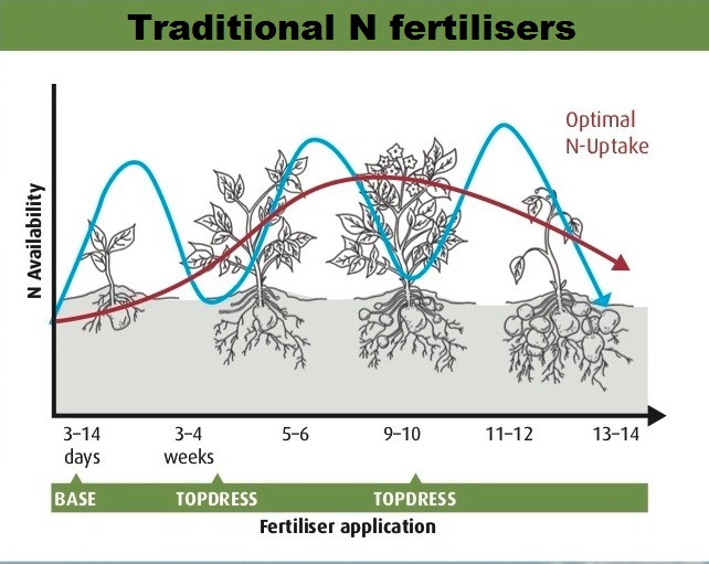 Figure 1: Using eNpower 18:20 for the basal application helps provide a more continuous supply of nitrogen to the crop and may reduce the need for top up applications.